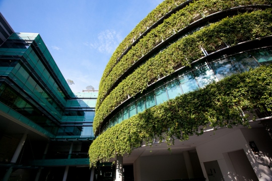 budynek ekologiczny